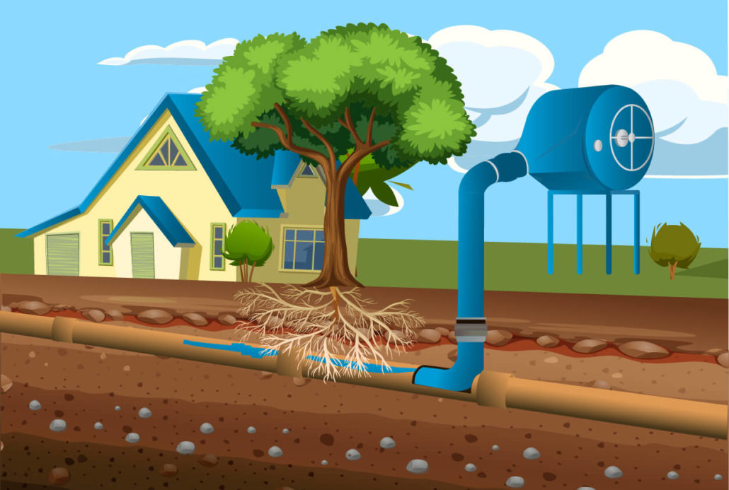 Illustration of tree roots growing into an underground water pipe causing a blockage near a residential home