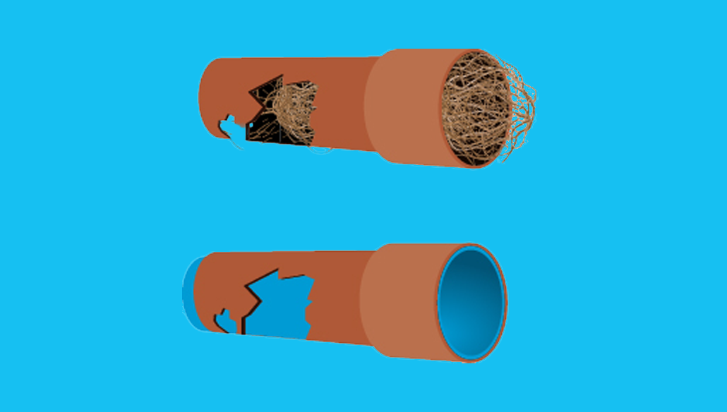 Diagram showing a damaged pipe blocked with tree roots before and after pipe relining in Brisbane