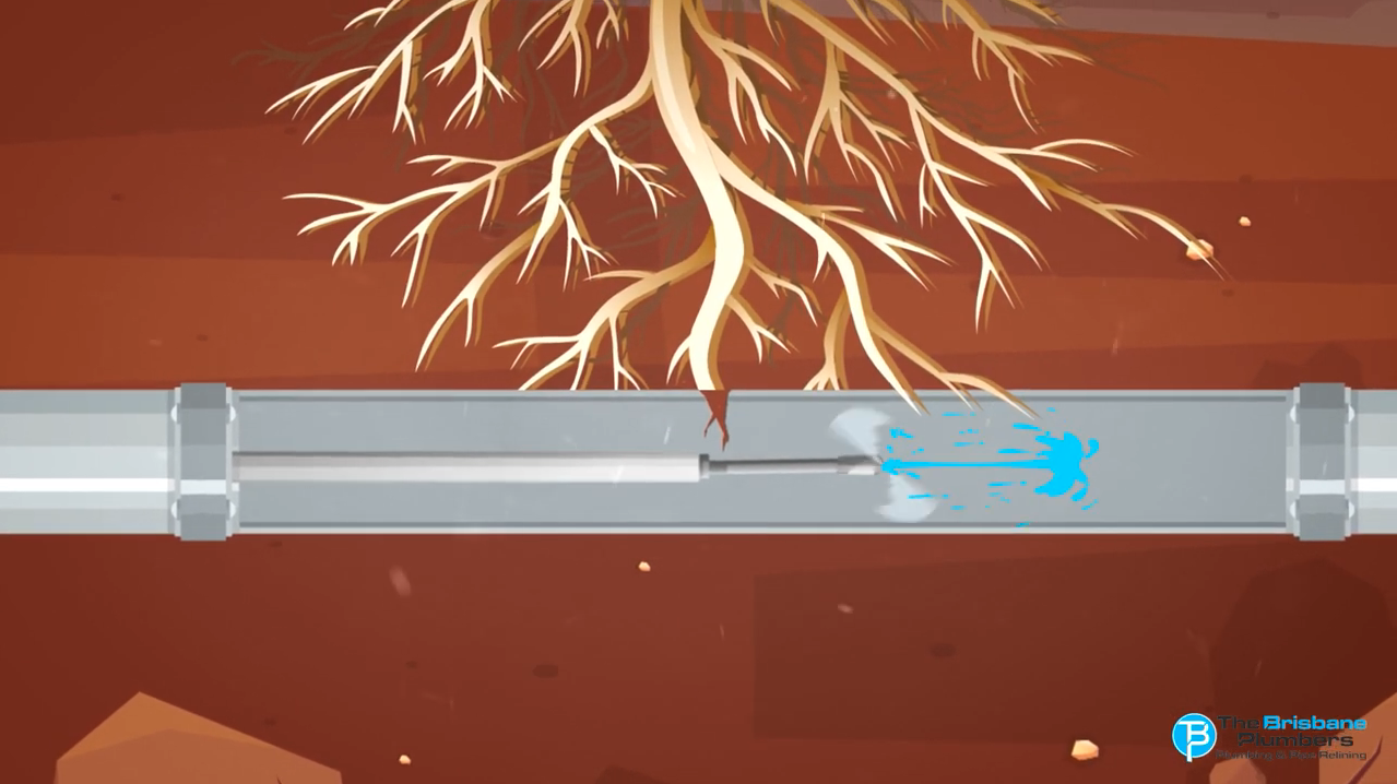 Illustration of tree roots penetrating and cracking an underground pipe causing a water leak in Brisbane