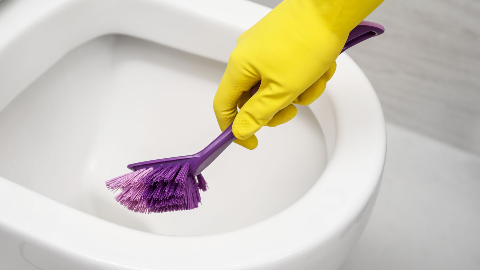 Cleaning a blocked toilet bowl with a brush – toilet plumbing services in Brisbane