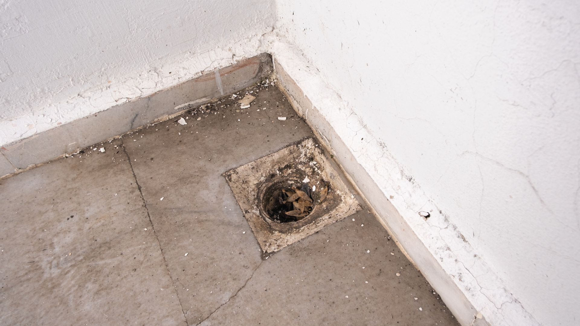 Blocked and debris-filled floor drain on a concrete surface in a Brisbane property