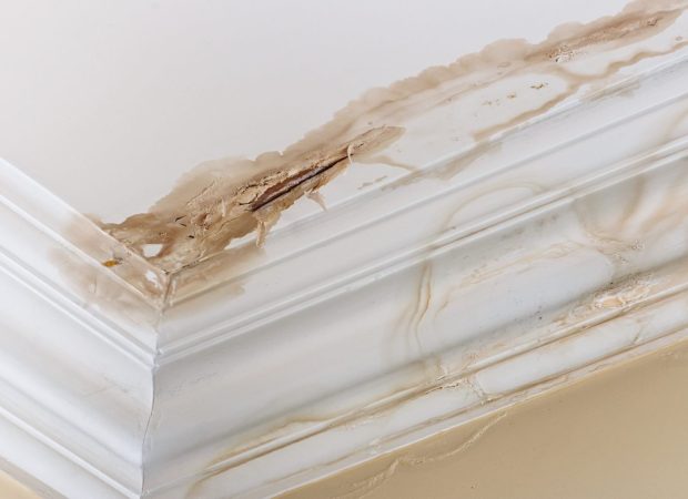 Water damage on a ceiling corner with visible stains and peeling paint, indicating a potential plumbing leak or roof leak.