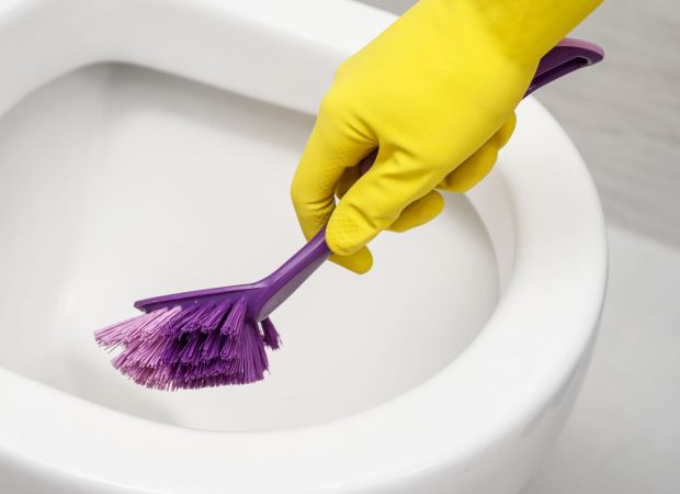 Cleaning a blocked toilet bowl with a brush – toilet plumbing services in Brisbane