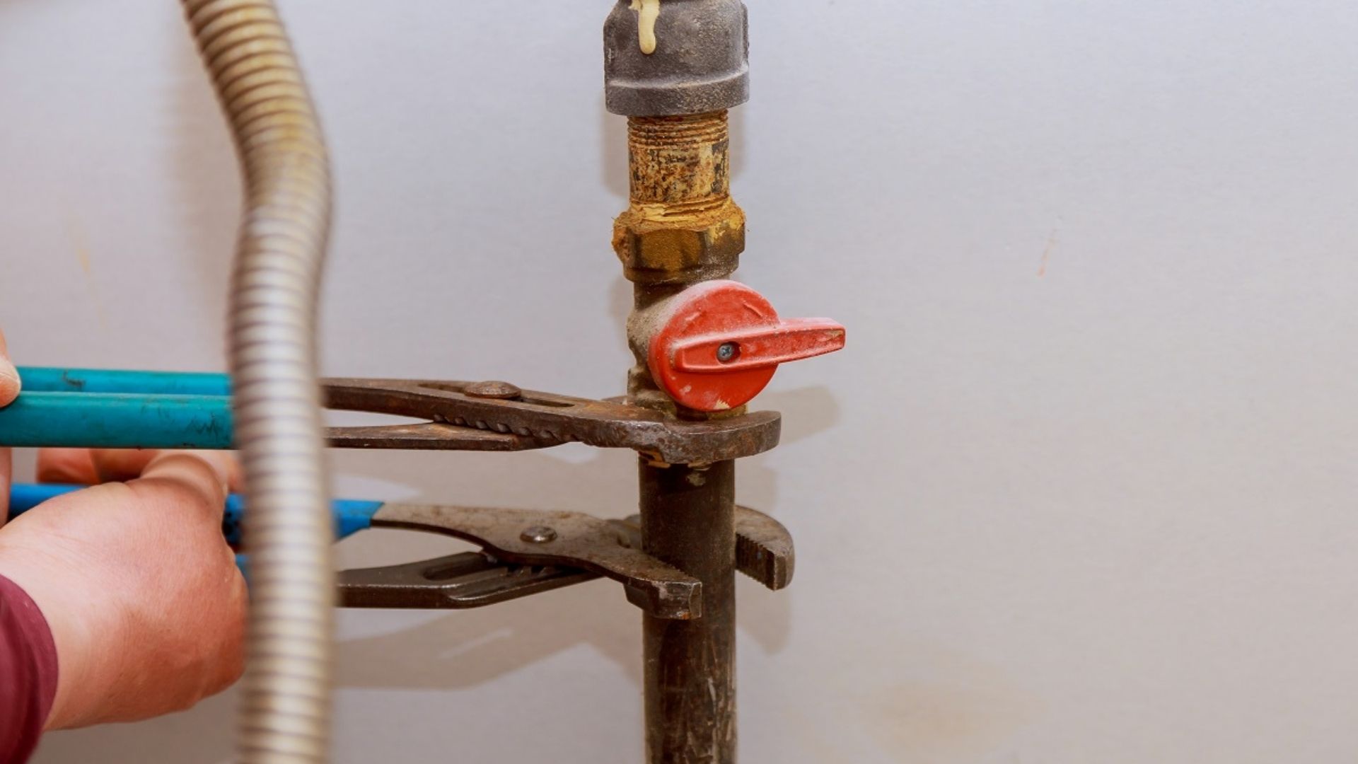 gas fitting services in hamilton